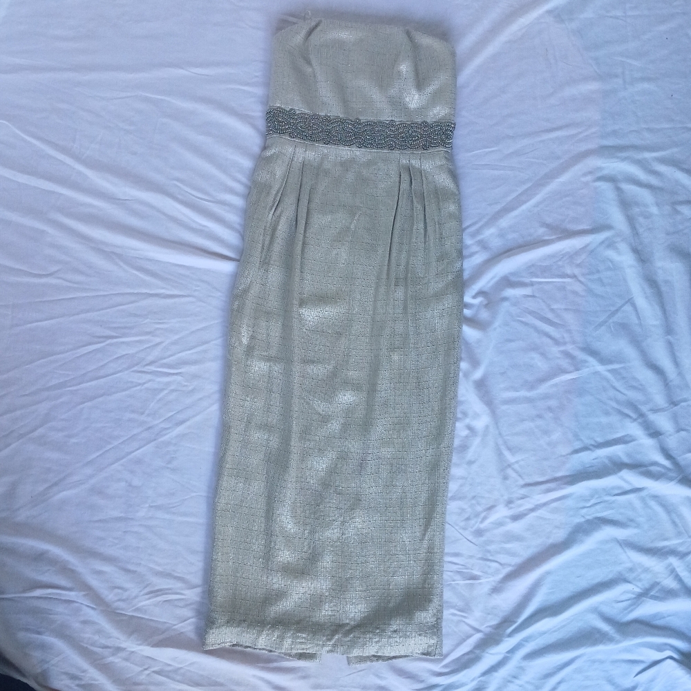 Carmen Marc Valvo Tan and Gold Strapless Dress Metalic Waistline Beaded.